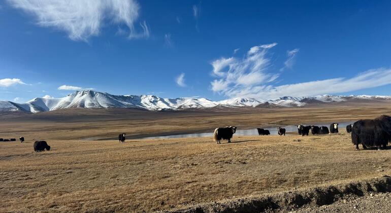 Bishkek to Song Kul Lake Tour & Visit to Ancient Burana Tower