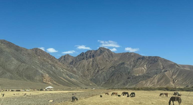 Bishkek to Song Kul Lake Tour & Visit to Ancient Burana Tower