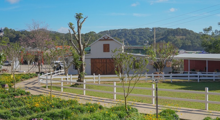 Private Stadtrundfahrt in Dalat