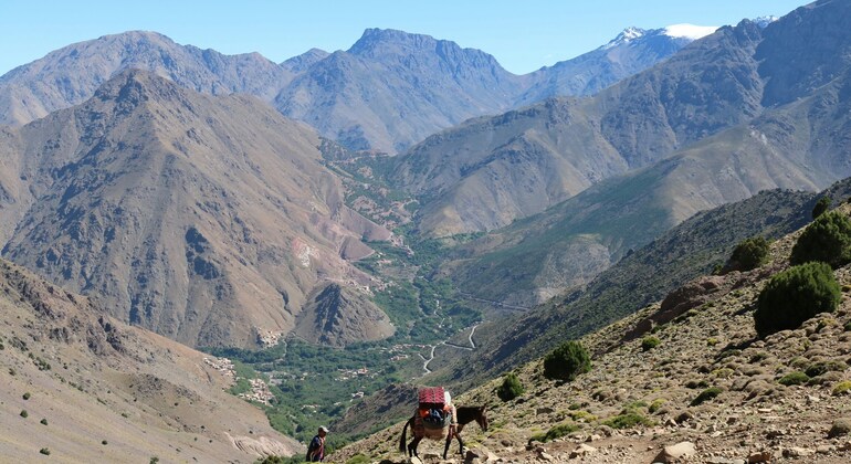 Valle di Imlil: Tour a piedi dei villaggi berberi
