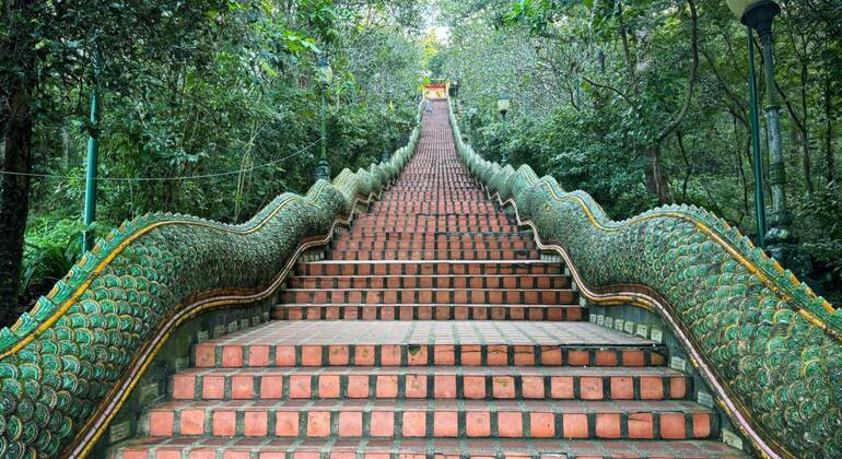 Chiang Mai Meditation und Tempel Retreat Ganztagestour