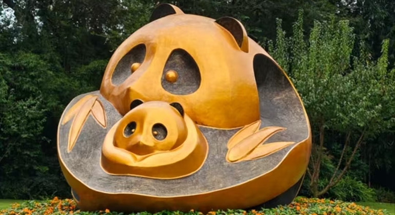Entrada a la Base Panda de Chengdu + Visita guiada