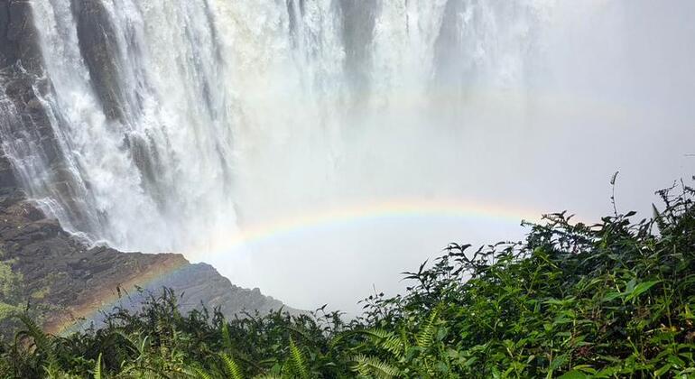 Victoria Falls Simbabwe & Sambia Experten geführte Tour