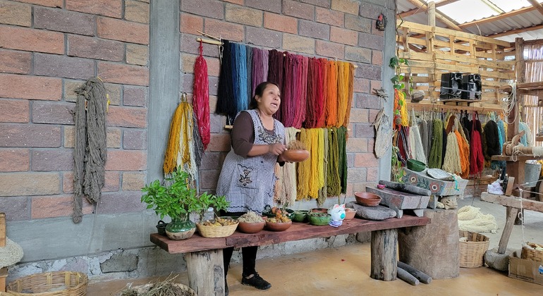 Hierve el Agua & Oaxaca Kulturelle Highlights Tour