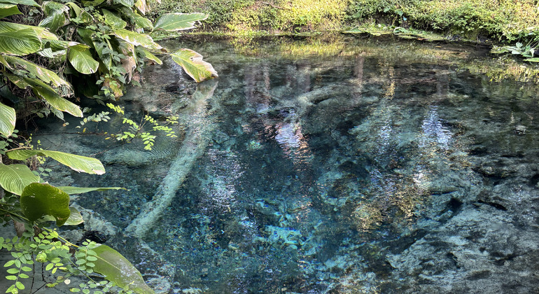 Ethisches Elefanten-Schutzgebiet: Bambus-Rafting & Klebriger Wasserfall