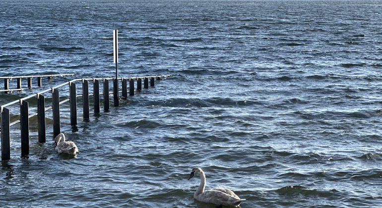 Oslo Fjord Islands: Tasting Tour