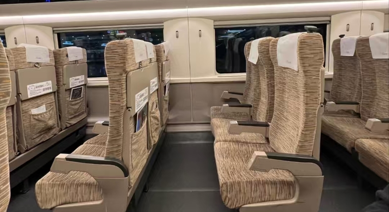 Excursión de un día al Valle del Panda de Chengdu y al sistema de riego DuJiangYan