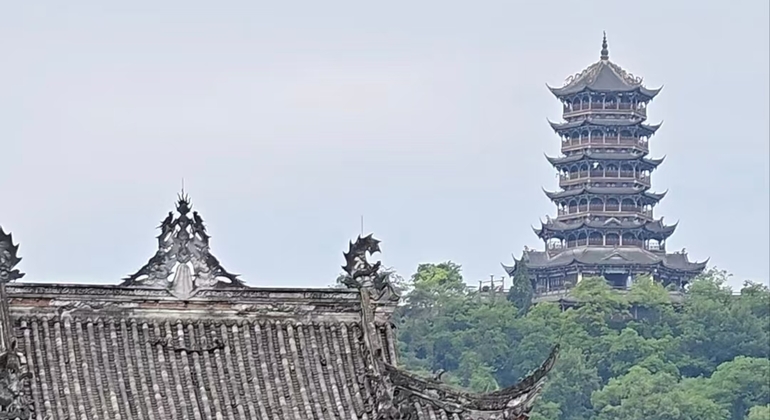 Excursión de un día al Valle del Panda de Chengdu y al sistema de riego DuJiangYan