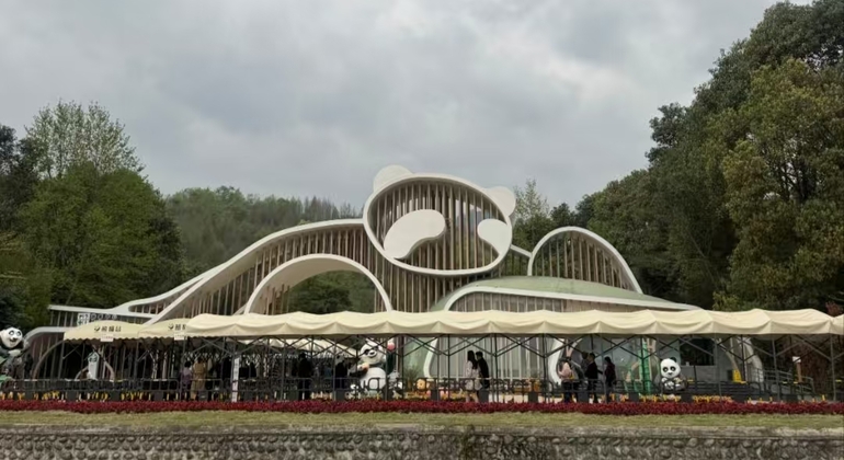 Excursión de un día al Valle del Panda de Chengdu y al sistema de riego DuJiangYan