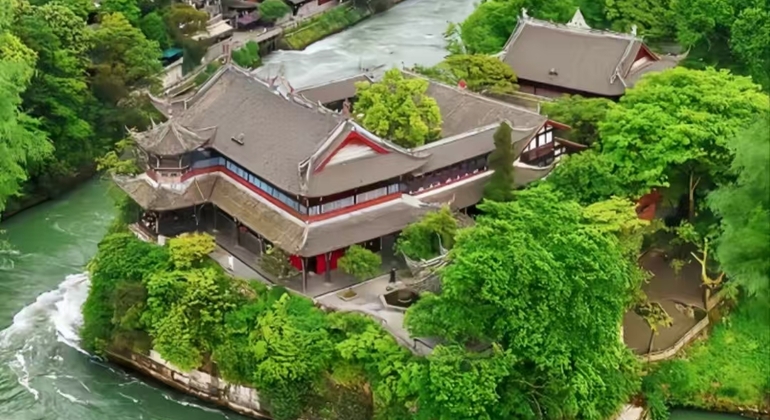 Excursión de un día al Valle del Panda de Chengdu y al sistema de riego DuJiangYan