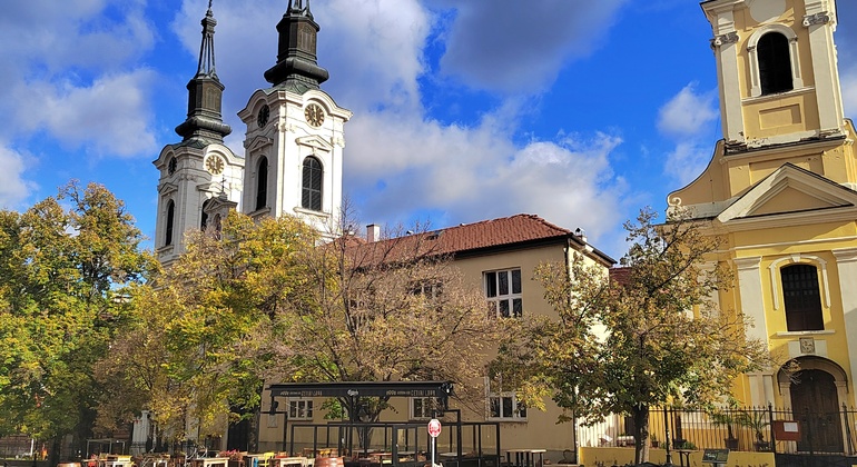 Day Trip from Belgrade to Novi Sad & Fruska Gora with Wine Tasting