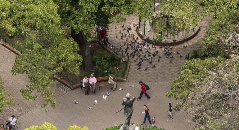 Medellin Tour: Stadtzentrum Parks &amp; Aussichtspunkt