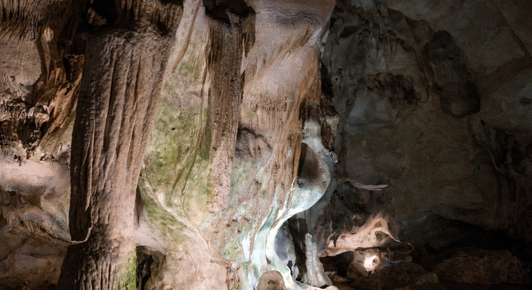 Desde Veliko Tarnovo: Excursión espiritual y natural