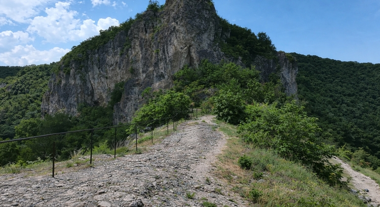 Desde Veliko Tarnovo: Excursión espiritual y natural