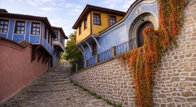 Desde Veliko Tarnovo: Excursión guiada de un día a Plovdiv