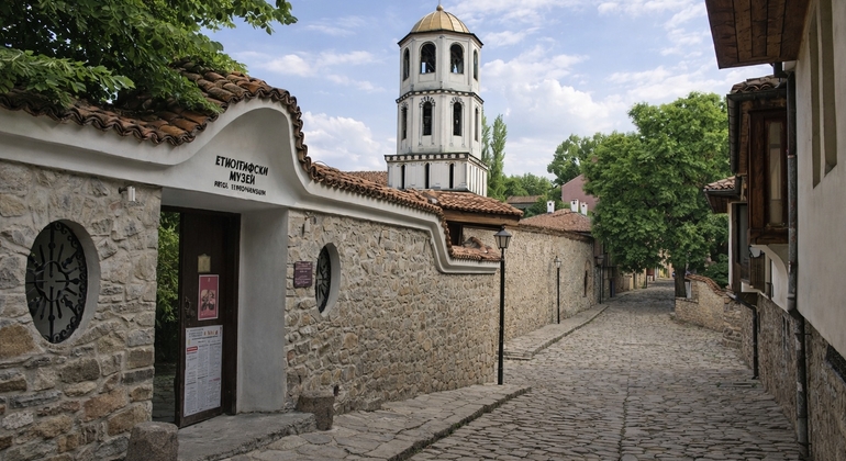 Desde Veliko Tarnovo: Excursión guiada de un día a Plovdiv