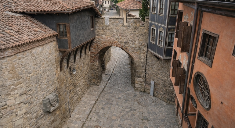 Desde Veliko Tarnovo: Excursión guiada de un día a Plovdiv