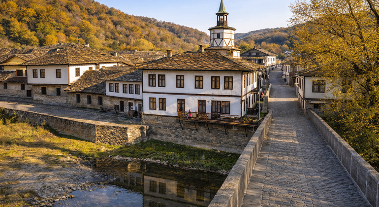 Desde Veliko Tarnovo: Excursión guiada de un día a Tryavna en tren