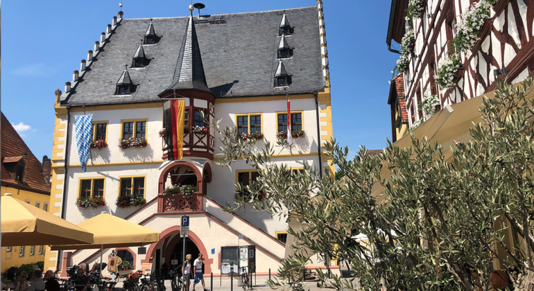 Tour durch Volkach: Wein, Kultur & Mainschleife