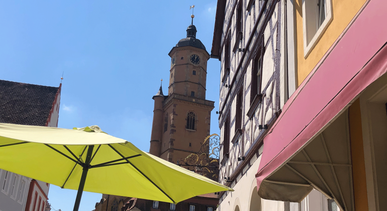 Tour durch Volkach: Wein, Kultur & Mainschleife
