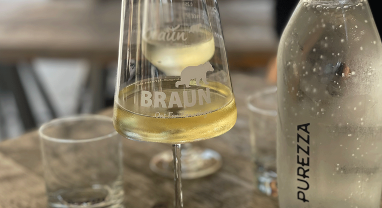 Tour durch Volkach: Wein, Kultur & Mainschleife