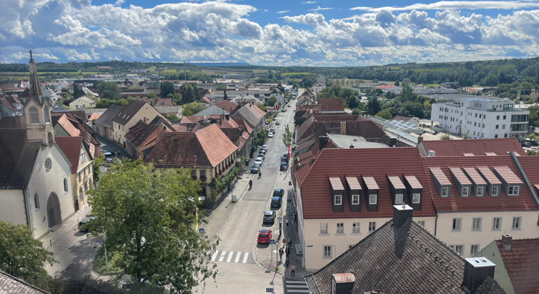 Tour durch Volkach: Wein, Kultur & Mainschleife