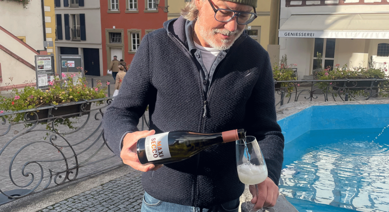 Tour durch Volkach: Wein, Kultur & Mainschleife