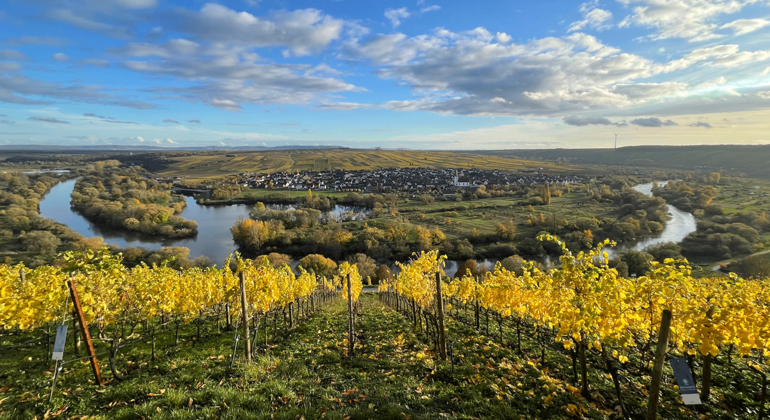 Franken Tour: Wandern, Genießen & Magie des Frankenweins