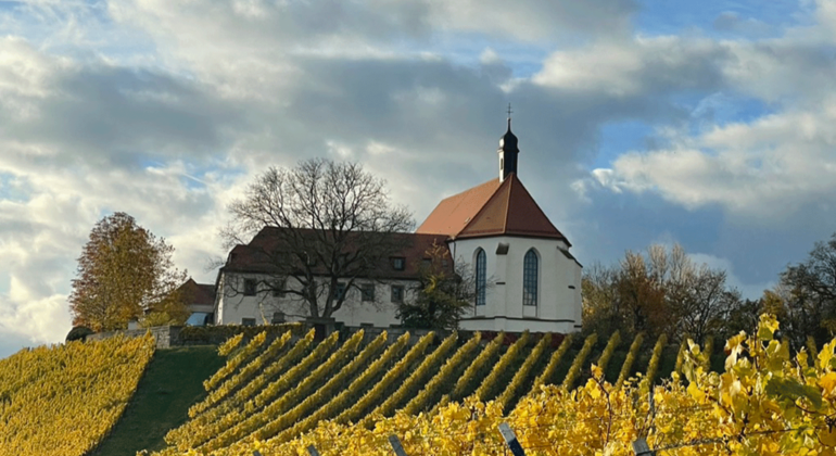 Franken Tour: Wandern, Genießen & Magie des Frankenweins