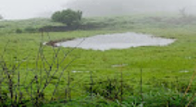 Kerala Natur Tour: Von den Paithalmala-Höhen zu den ruhigen Ufern