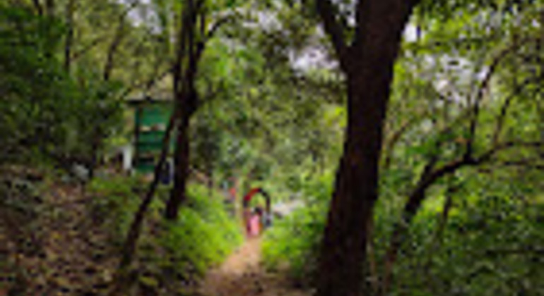 Kerala Natur Tour: Von den Paithalmala-Höhen zu den ruhigen Ufern