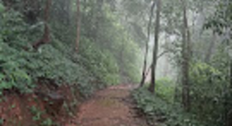 Kerala Natur Tour: Von den Paithalmala-Höhen zu den ruhigen Ufern