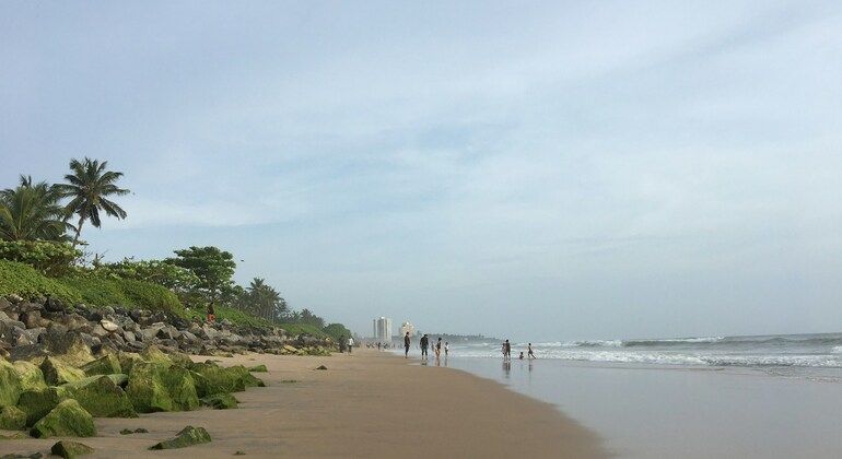 Kerala Natur Tour: Von den Paithalmala-Höhen zu den ruhigen Ufern