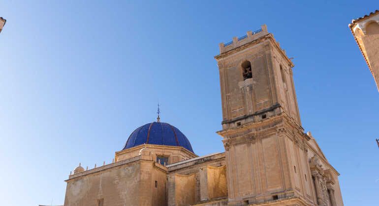Kulturelle Tour durch den Palmenhain und das historische Zentrum von Elche