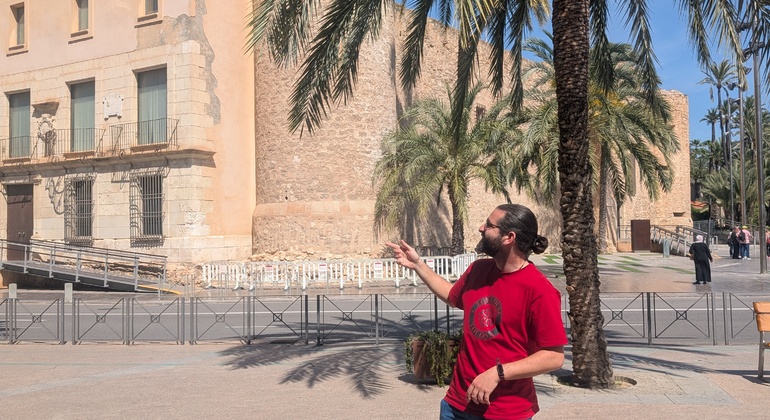 Kulturelle Tour durch den Palmenhain und das historische Zentrum von Elche