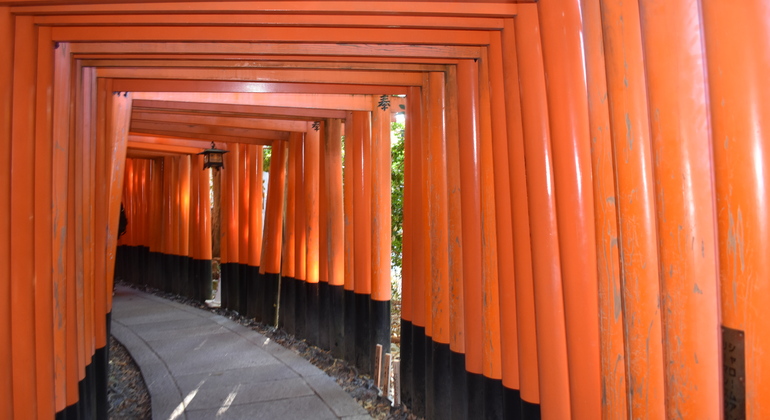 Kyoto: Ganztägige private Tour mit einem lokalen Führer ab Hotelabholung
