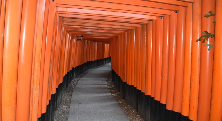 Kyoto: Ganztägige private Tour mit einem lokalen Führer ab Hotelabholung