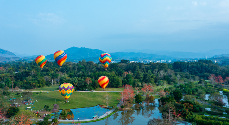 Acht Tage Natur- und Kulturerbe-Tour (Guangxi-Yunnan)