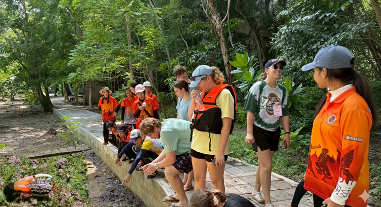 Excursión tradicional en la ciudad de Krabi