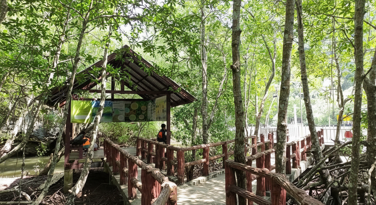Excursión tradicional en la ciudad de Krabi