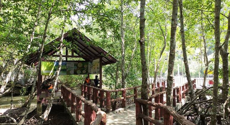 Excursión tradicional en la ciudad de Krabi