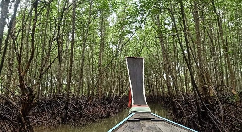 Excursión tradicional en la ciudad de Krabi