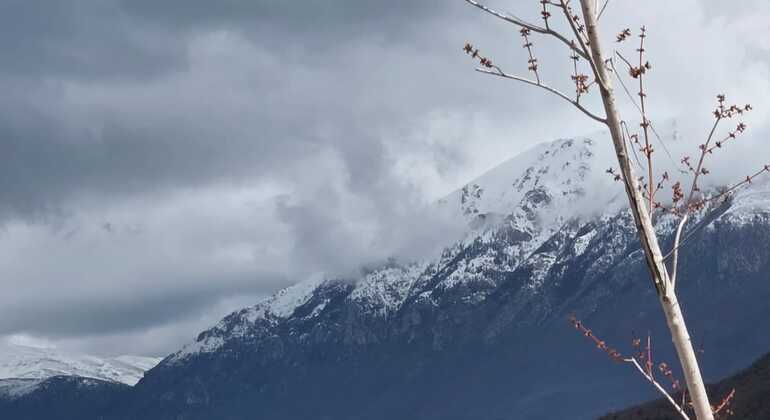 Lake Ohrid Escape: Lin, Pogradec & Tushemisht Day Tour from Tirana