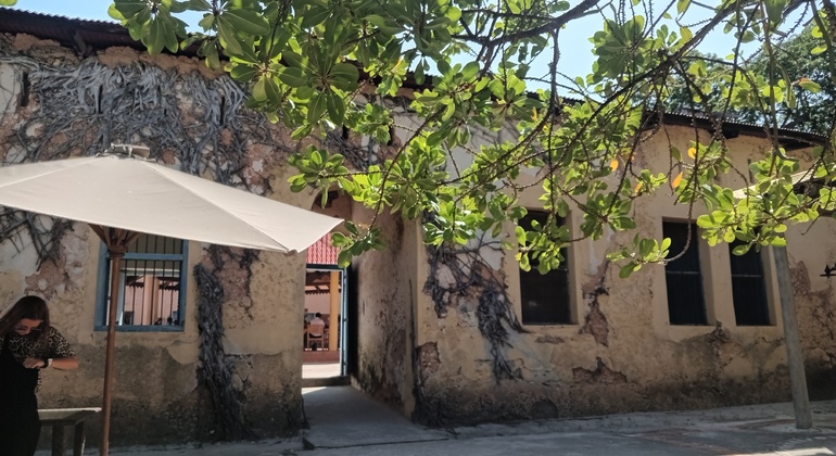Excursion d'une journée à Zanzibar : Stone Town, la ferme aux épices et l'île-prison