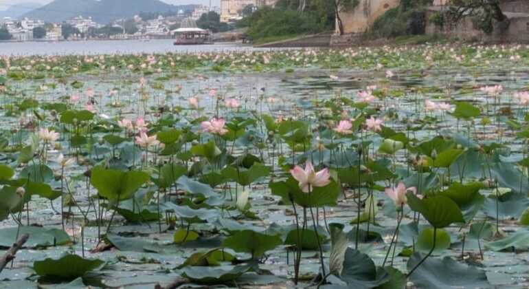 Visite du village d'Udaipur en Jeep pour découvrir la culture locale et l'expérience rurale