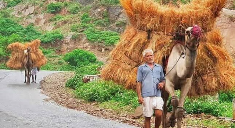 Visite du village d'Udaipur en Jeep pour découvrir la culture locale et l'expérience rurale