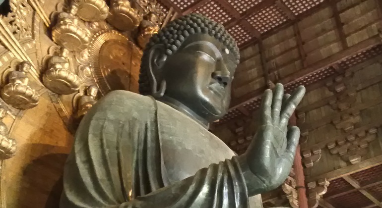 Rutas Místicas por los Templos de Nara