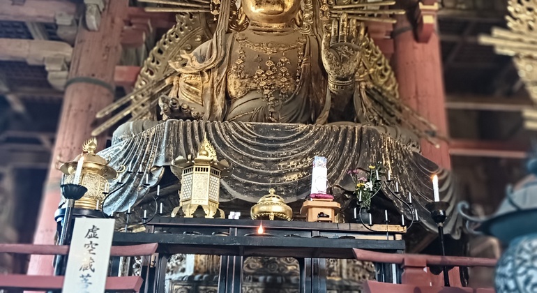 Rutas Místicas por los Templos de Nara