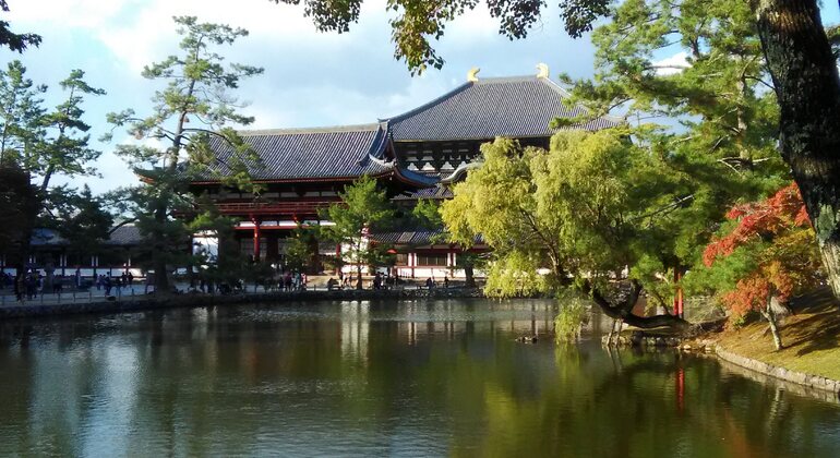 Rutas Místicas por los Templos de Nara