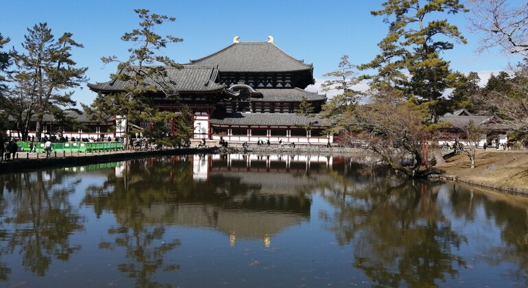 Rutas Místicas por los Templos de Nara
